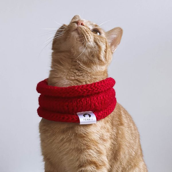 Katze mit rotem handgestrickten Tierschal. yall