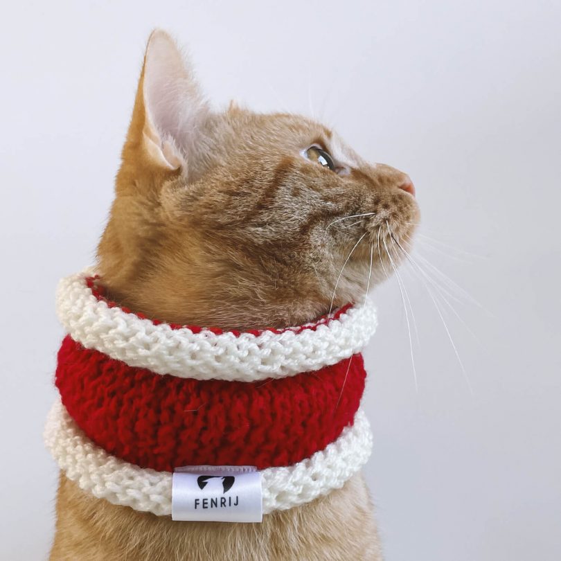 Katze mit rot weißem handgestrickten Tierschal. nijklas