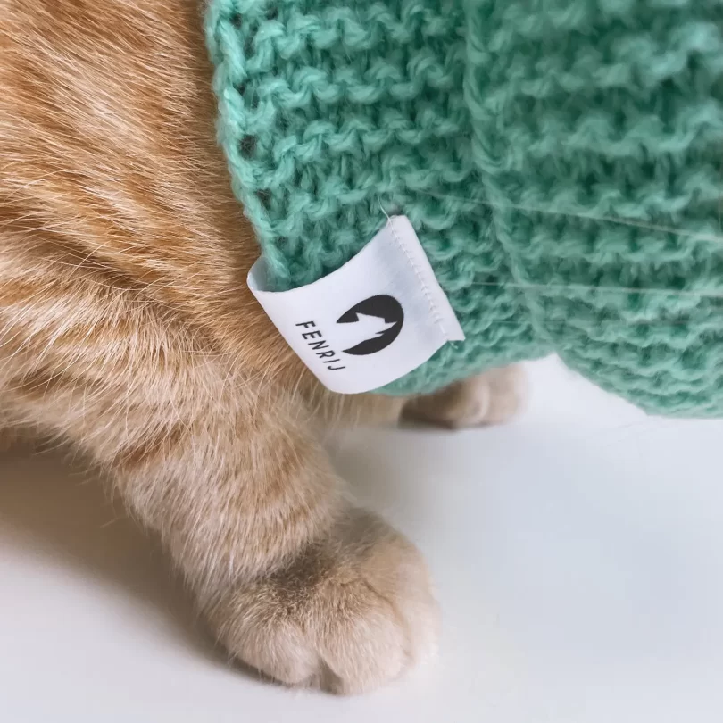 Katze mit türkis farbendem handgestrickten Tierschal. tjell